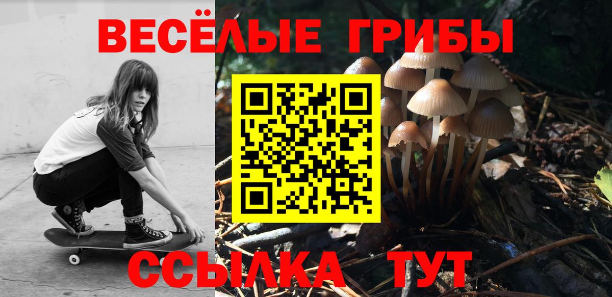 Новочеркасск  цены наркотик  Вход с VPN  Галлюциногенные грибы мухоморы 